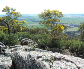 The Rock Nature Reserve - Accommodation Fremantle 6