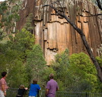 Sawn Rocks walking track - Accommodation Fremantle