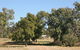 Terry Hie Hie Aboriginal Area - thumb 0