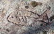 Terry Hie Hie Aboriginal Area - thumb 3