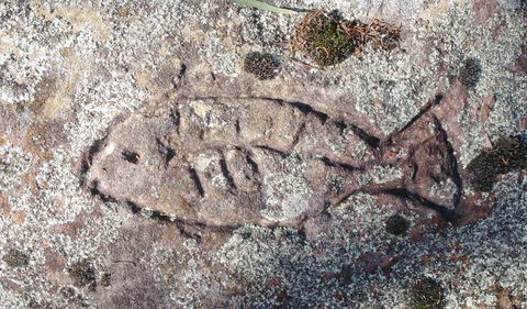 Terry Hie Hie Aboriginal Area - Accommodation Fremantle 3