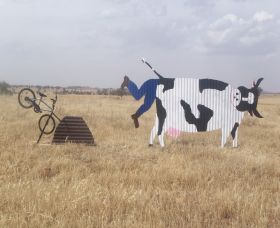 Animals On Bikes - Accommodation Fremantle 1