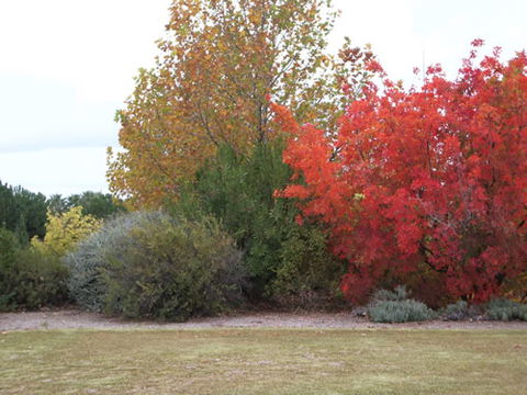 Australian Inland Botanic Gardens - Accommodation Fremantle 2