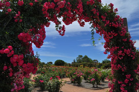 Australian Inland Botanic Gardens - Accommodation Fremantle 3