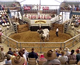 Gracemere Exhibition Complex - Accommodation Fremantle 1