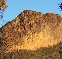 Kaputar scenic drive - Accommodation Fremantle