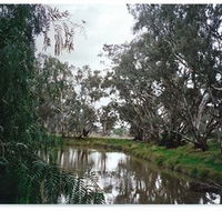 Henty Government Dam Nature Reserve - Accommodation Fremantle