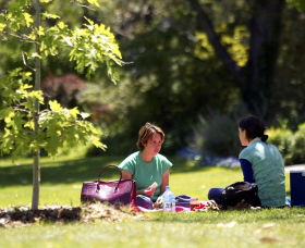 Botanic Gardens Wagga Wagga - Accommodation Fremantle 0