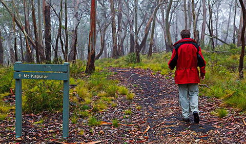 Mount Kaputar Summit Walk - Accommodation Fremantle 2
