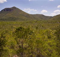 Kutini-Payamu Iron Range National Park CYPAL - Accommodation Fremantle