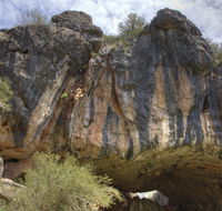Borenore Karst Conservation Reserve - Accommodation Fremantle