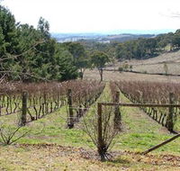 Habitat Vineyard - Accommodation Fremantle
