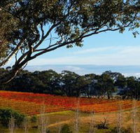 Bloodwood Estate - Accommodation Fremantle