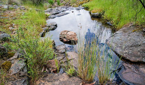 Hopetoun Falls Walking Track - Accommodation Fremantle 1