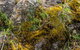 Hopetoun Falls Walking Track - thumb 2