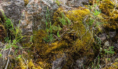 Hopetoun Falls Walking Track - Accommodation Fremantle 2