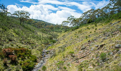 Hopetoun Falls Walking Track - Accommodation Fremantle 3
