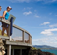 Mount Canobolas State Conservation Area - Accommodation Fremantle