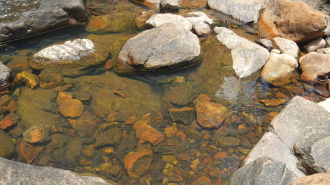 Mount Canobolas State Conservation Area - Accommodation Fremantle 2