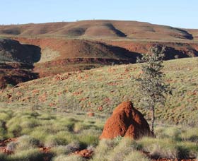 Camel Trail, Millstream-Chichester National Park - Accommodation Fremantle 0