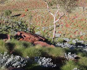 Camel Trail, Millstream-Chichester National Park - Accommodation Fremantle 2