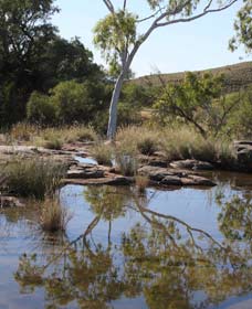 Camel Trail, Millstream-Chichester National Park - Accommodation Fremantle 3