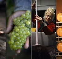 Ross Hill Wines - Accommodation Fremantle