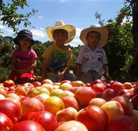 Bonny Glen Fruits - Accommodation Fremantle