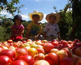 Bonny Glen Fruits - Accommodation Fremantle 0