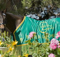 Living Legends The International Home of Rest for Champion Horses - Accommodation Fremantle