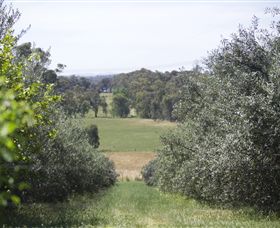 Samaria Farm - Accommodation Fremantle 7