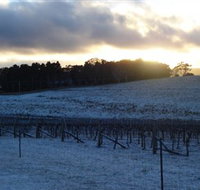 Charles Sturt University Winery - Accommodation Fremantle