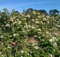 Huntley Berry Farm - Accommodation Fremantle