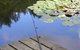 Ophir Reserve - thumb 0