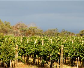 Amulet Vineyard And Beechworth Cider - Accommodation Fremantle 7