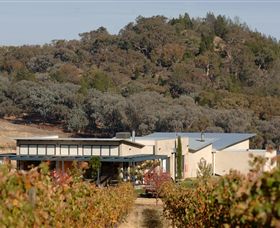 Amulet Vineyard And Beechworth Cider - Accommodation Fremantle 8