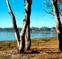 Lake Broadwater Conservation Park - Accommodation Fremantle
