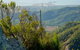 Mount Larcom Climb - thumb 1