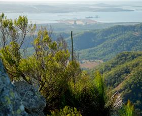Mount Larcom Climb - Accommodation Fremantle 1