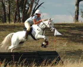 National Equestrian Centre - Kerrabee - Accommodation Fremantle 0