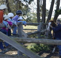 Harlow Park Horse Riding - Accommodation Fremantle