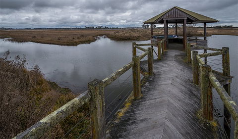 Mother Of Ducks Lagoon Nature Reserve - Accommodation Fremantle 3