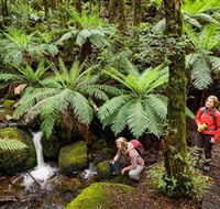 Baw Baw National Park - Accommodation Fremantle