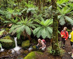 Baw Baw National Park - Accommodation Fremantle 0