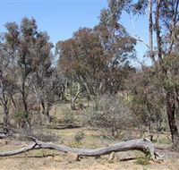 Remembrance Nature Park - Accommodation Fremantle
