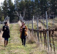 Mount Majura Vineyard - Accommodation Fremantle