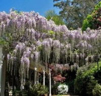 Nooroo Gardens - Accommodation Fremantle