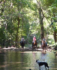 Springvale Horse Treks - Accommodation Fremantle 2