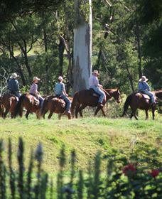 Springvale Horse Treks - Accommodation Fremantle 1