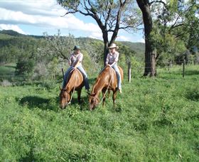 Springvale Horse Treks - Accommodation Fremantle 3